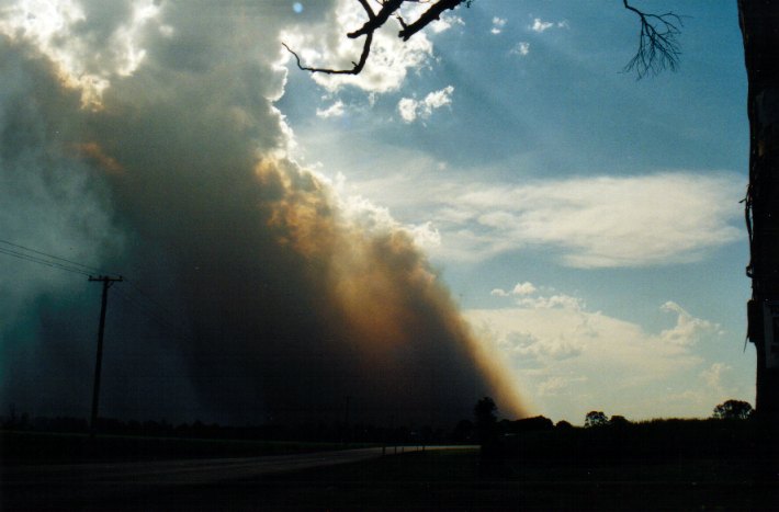 cumulus pyrocumulus : Woodburn, NSW   22 December 2001