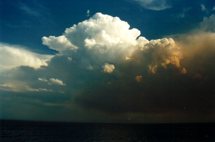 thunderstorm cumulonimbus_calvus : Woodburn, NSW   22 December 2001