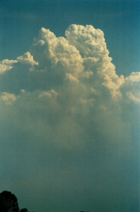 cumulus pyrocumulus : Lindendale, NSW   24 December 2001