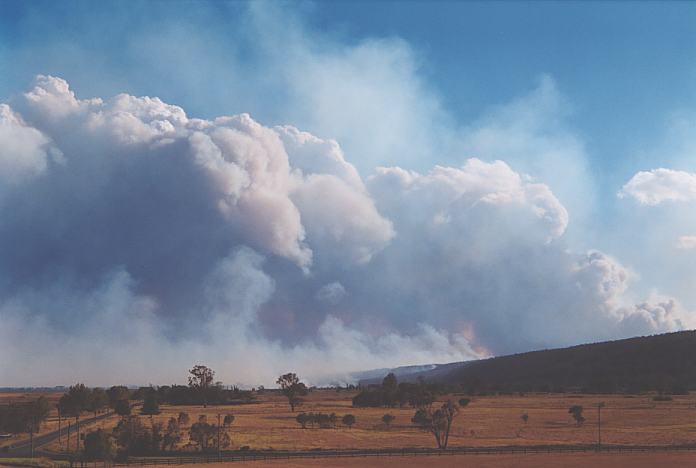 cumulus pyrocumulus : Castlereagh, NSW   25 December 2001