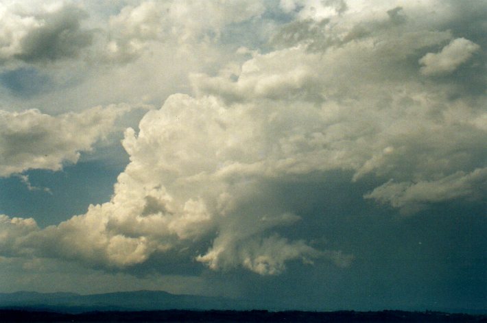 thunderstorm cumulonimbus_calvus : McLeans Ridges, NSW   29 December 2001