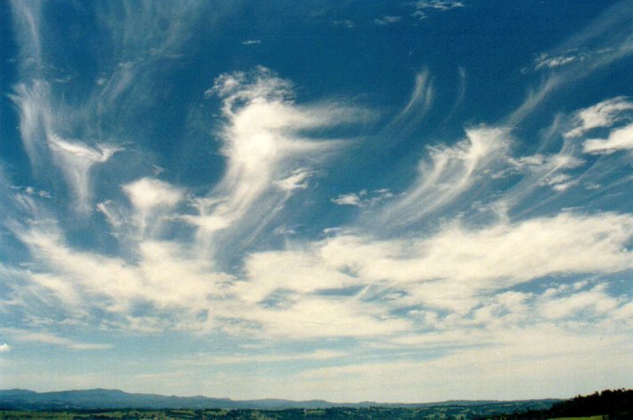 virga virga_pictures : McLeans Ridges, NSW   1 January 2002