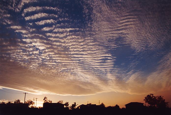 altocumulus undulatus : Schofields, NSW   8 January 2002