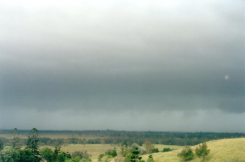 raincascade precipitation_cascade : Parrots Nest, NSW   16 January 2002