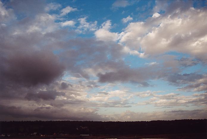 altocumulus castellanus : Schofields, NSW   6 February 2002