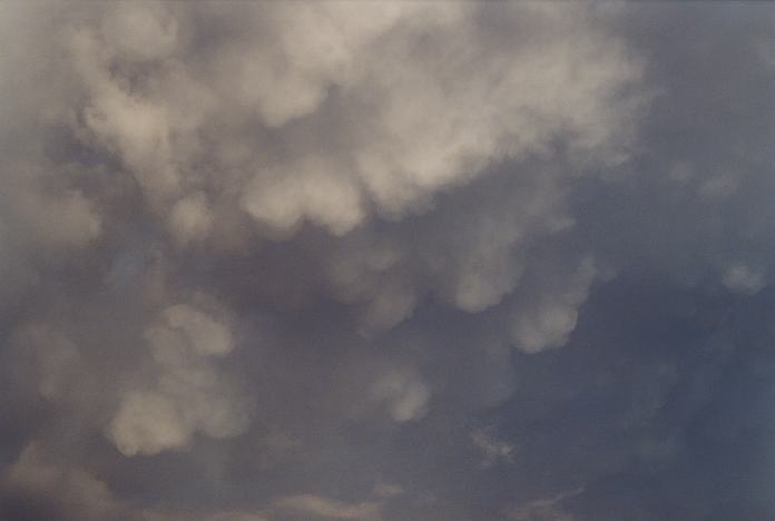 mammatus mammatus_cloud : Schofields, NSW   7 February 2002