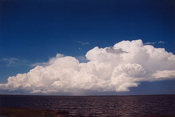 updraft thunderstorm_updrafts : E of Raymond Terrace, NSW   8 February 2002