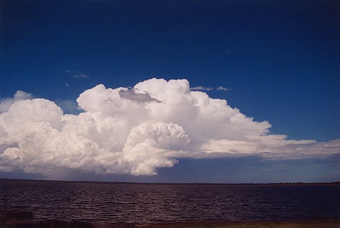 favourites jimmy_deguara : near Raymond Terrace, NSW   8 February 2002