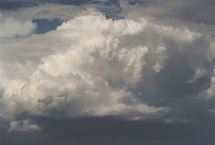 updraft thunderstorm_updrafts : Port Stephens, NSW   8 February 2002