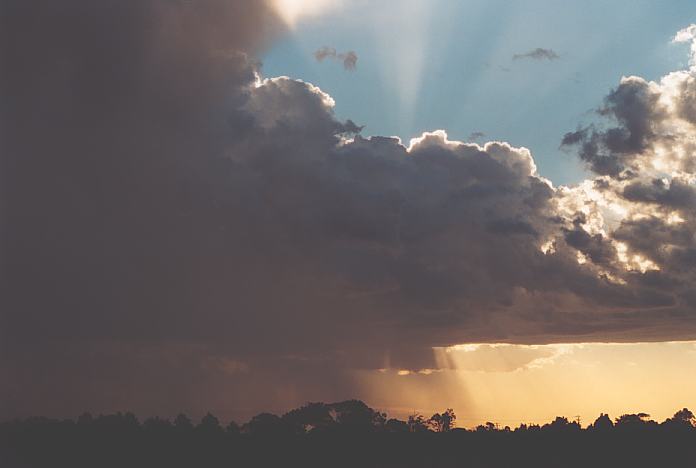 thunderstorm cumulonimbus_calvus : Williamtown, NSW   8 February 2002