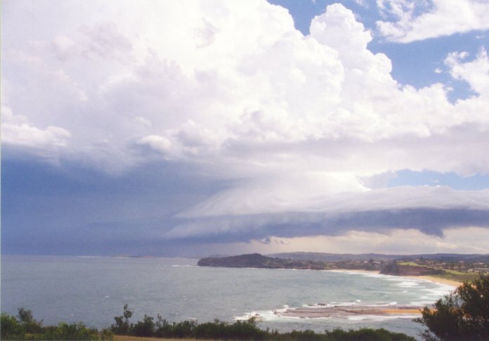 contributions received : Mona Vale Headland, NSW<BR>Photo by Judy Mayo   8 February 2002