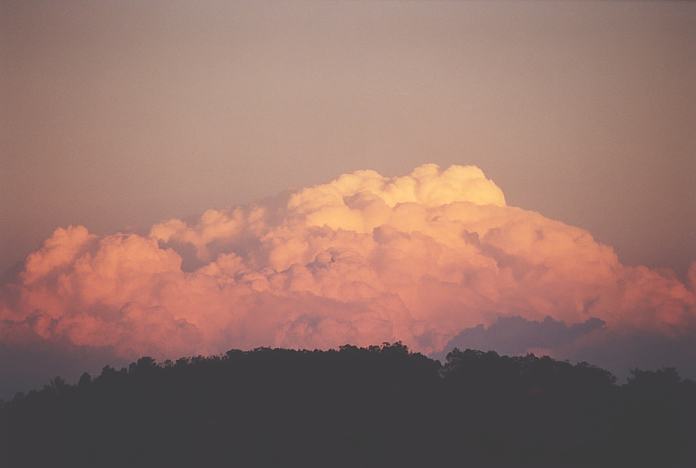 thunderstorm cumulonimbus_calvus : Freeway Wyong, NSW   10 February 2002