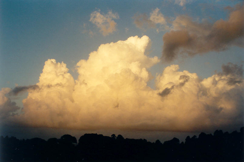 sunset sunset_pictures : McLeans Ridges, NSW   13 March 2002