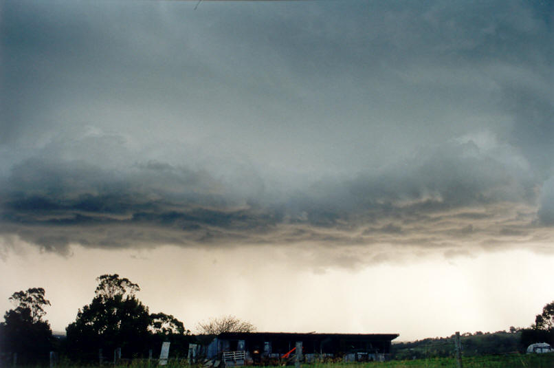 shelfcloud shelf_cloud : Tregeagle, NSW   26 March 2002