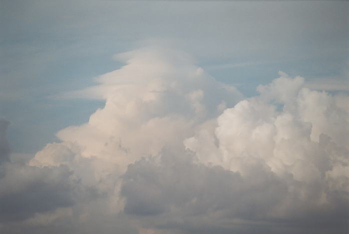 pileus pileus_cap_cloud : Singleton, NSW   14 April 2002