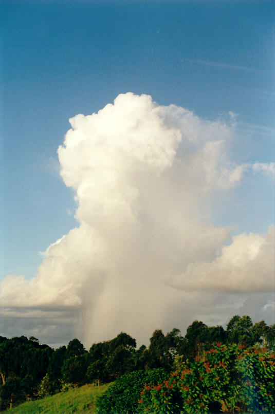 raincascade precipitation_cascade : McLeans Ridges, NSW   14 April 2002