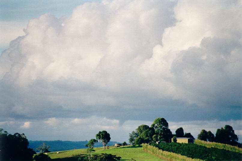 cumulus congestus : McLeans Ridges, NSW   7 May 2002