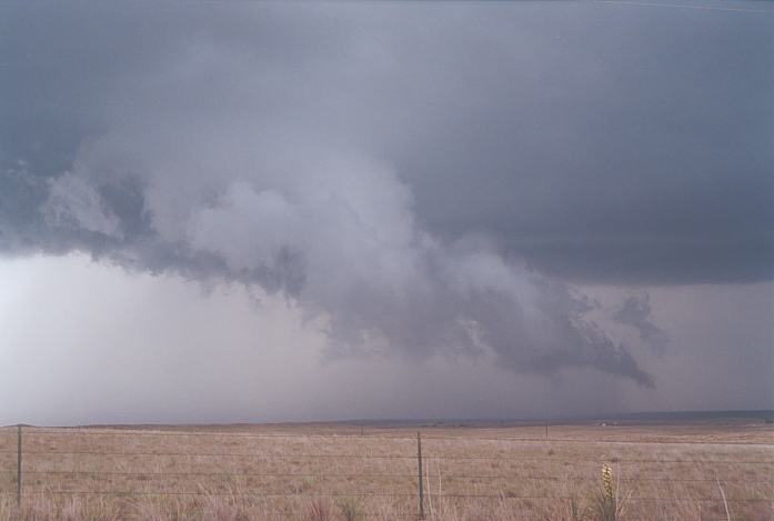 raincascade precipitation_cascade : Lipscomb, Texas, USA   23 May 2002