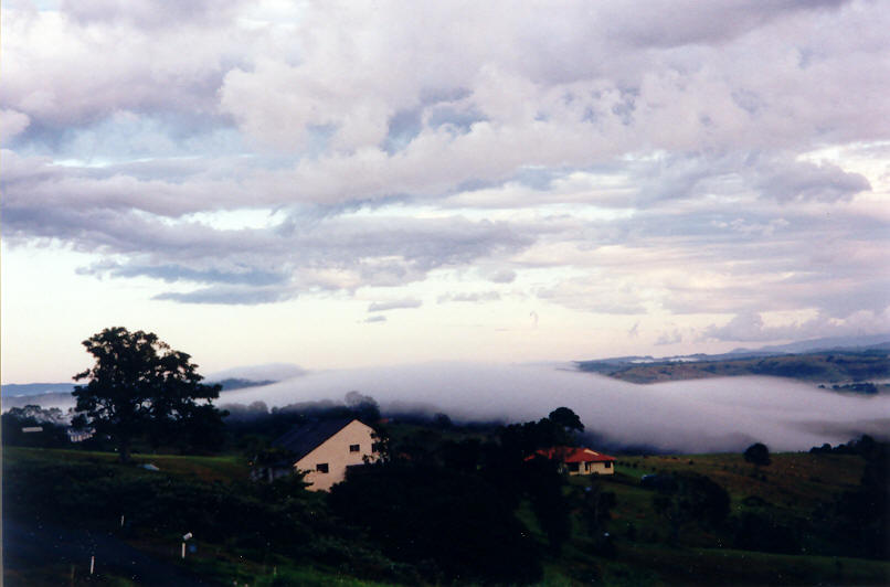 fogmist fog_mist_frost : McLeans Ridges, NSW   1 June 2002