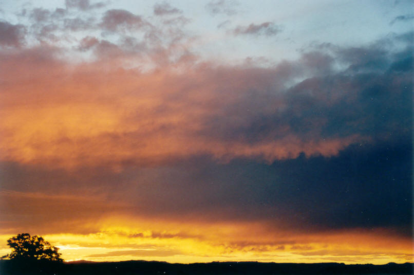 nimbostratus nimbostratus_cloud : McLeans Ridges, NSW   14 June 2002