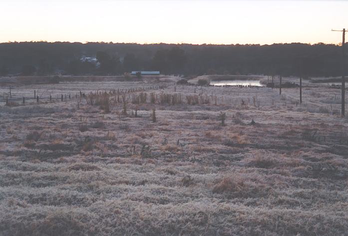 fogmist fog_mist_frost : Schofields, NSW   12 July 2002