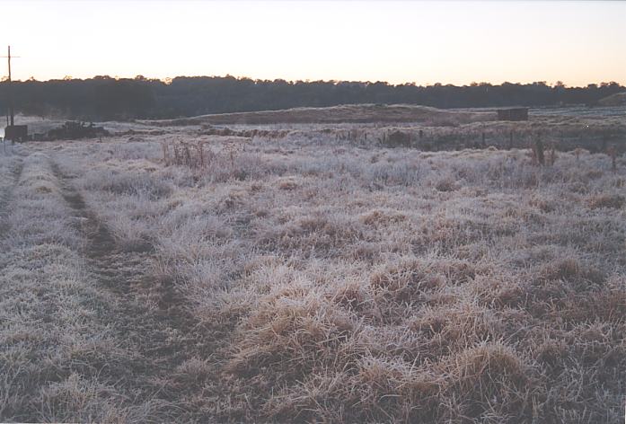 fogmist fog_mist_frost : Schofields, NSW   12 July 2002