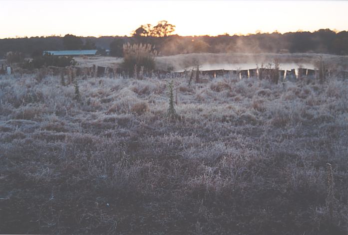 fogmist fog_mist_frost : Schofields, NSW   12 July 2002