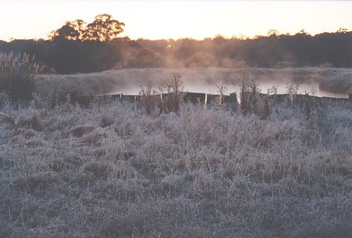 fogmist fog_mist_frost : Schofields, NSW   12 July 2002