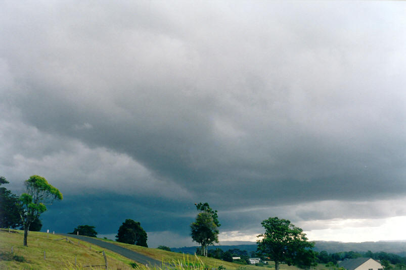 cumulonimbus thunderstorm_base : McLeans Ridges, NSW   23 August 2002