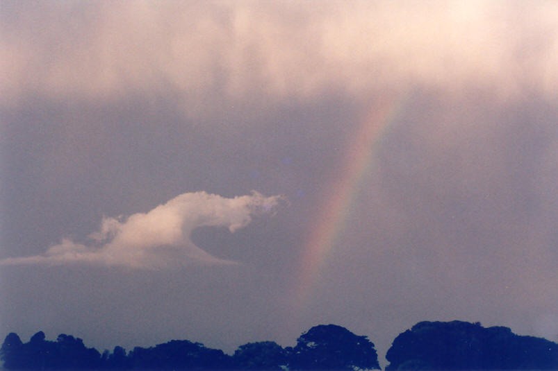 favourites michael_bath : McLeans Ridges, NSW   26 September 2002