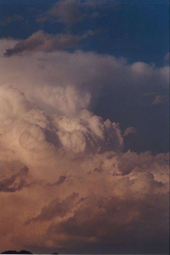 updraft thunderstorm_updrafts : Padstow, NSW   5 October 2002