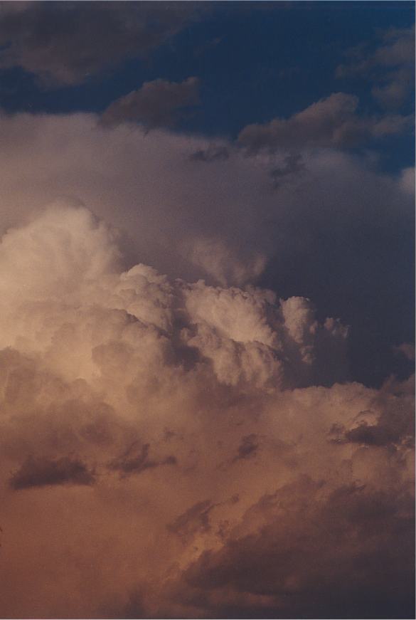 updraft thunderstorm_updrafts : Padstow, NSW   5 October 2002