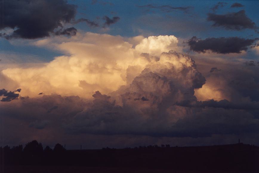 favourites jimmy_deguara : near Jerrys Plains, NSW   13 October 2002