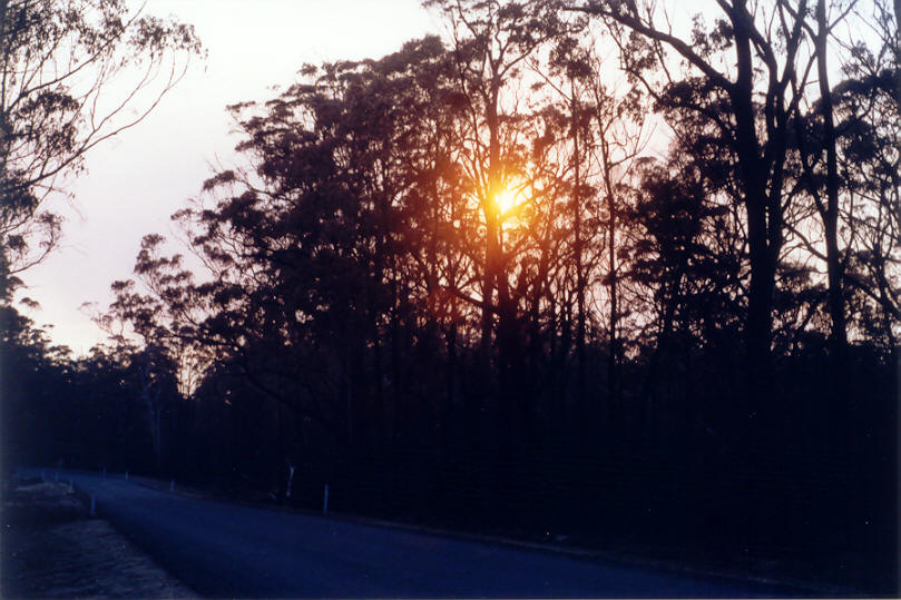 bushfire wild_fire : Tenterfield, NSW   3 November 2002