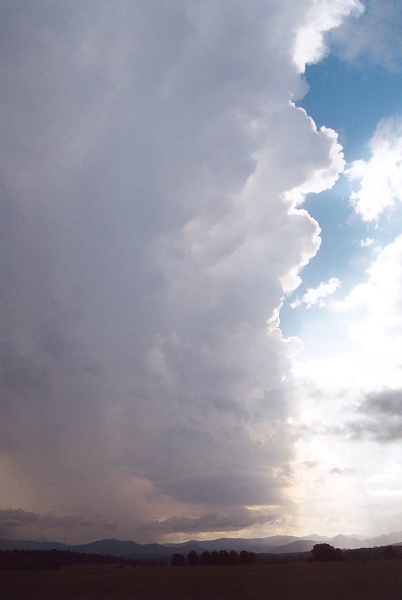 thunderstorm cumulonimbus_incus : Moruya, NSW   22 November 2002