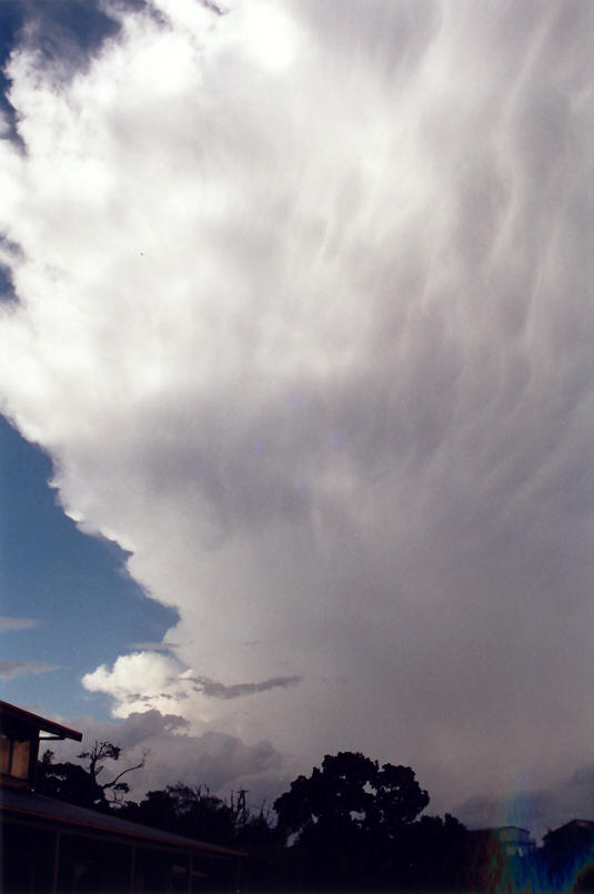 anvil thunderstorm_anvils : McLeans Ridges, NSW   3 December 2002