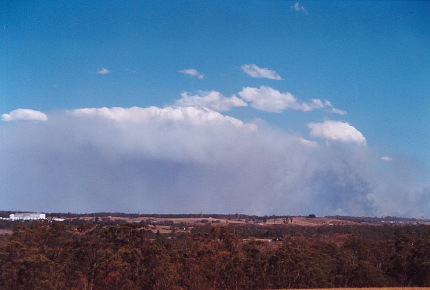 cumulus pyrocumulus : Rooty Hill, NSW   5 December 2002