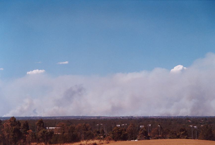 cumulus pyrocumulus : Rooty Hill, NSW   5 December 2002