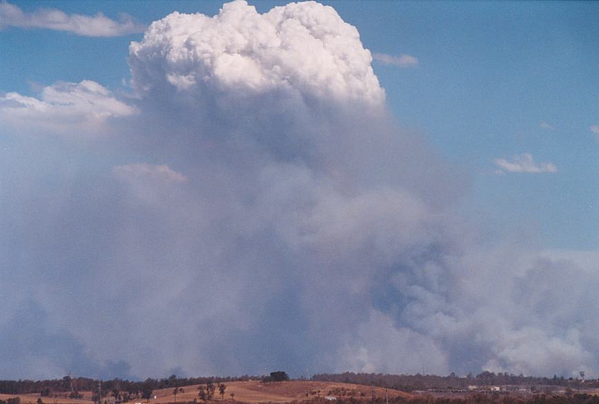 cumulus pyrocumulus : Rooty Hill, NSW   5 December 2002