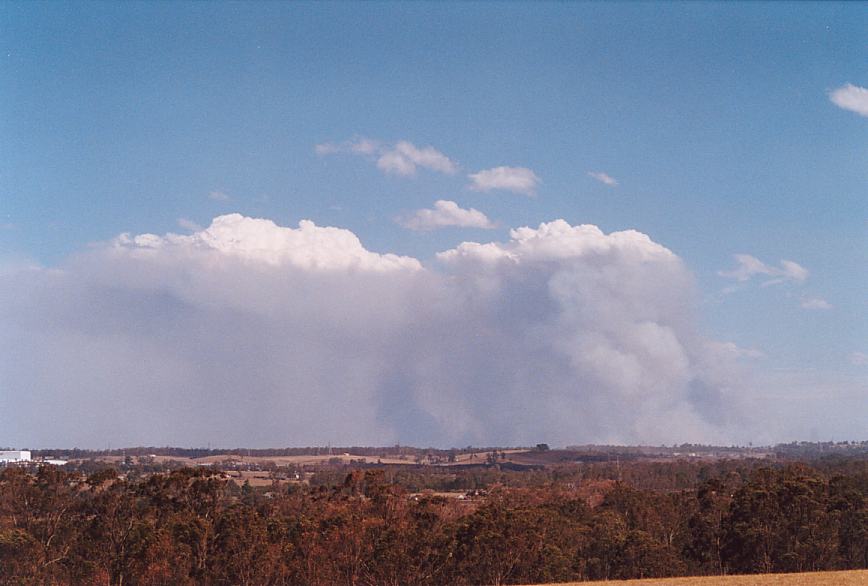 cumulus pyrocumulus : Rooty Hill, NSW   5 December 2002