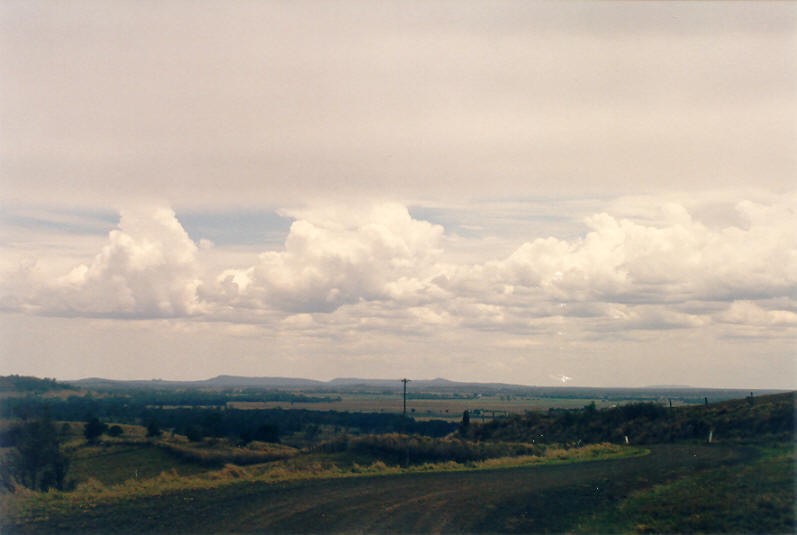 cumulus congestus : Parrots Nest, NSW   15 December 2002