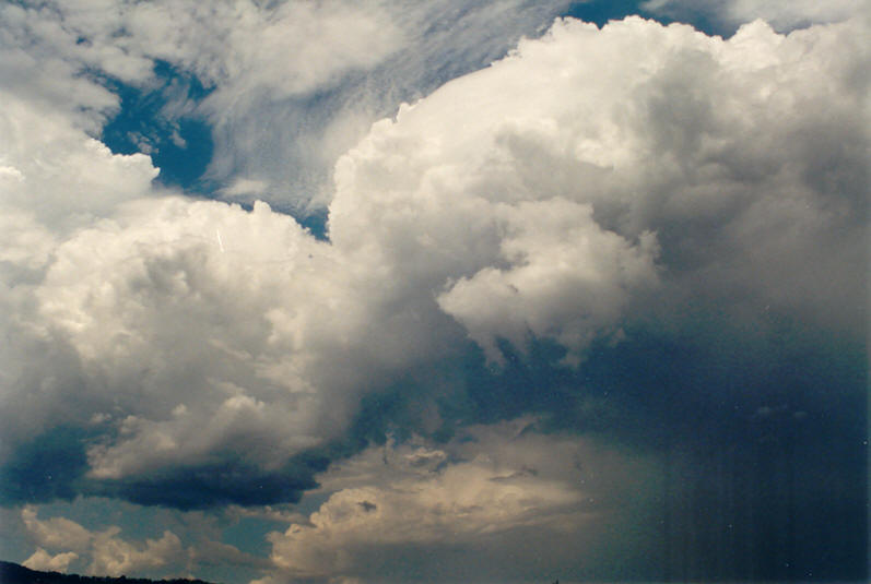 cumulus congestus : NW of Lismore, NSW   15 December 2002