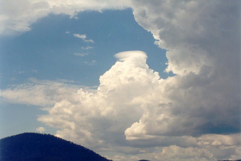 cumulus congestus : NW of Lismore, NSW   15 December 2002