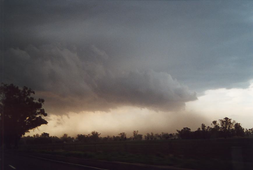 cumulonimbus thunderstorm_base : N of Gunnedah, NSW   23 December 2002