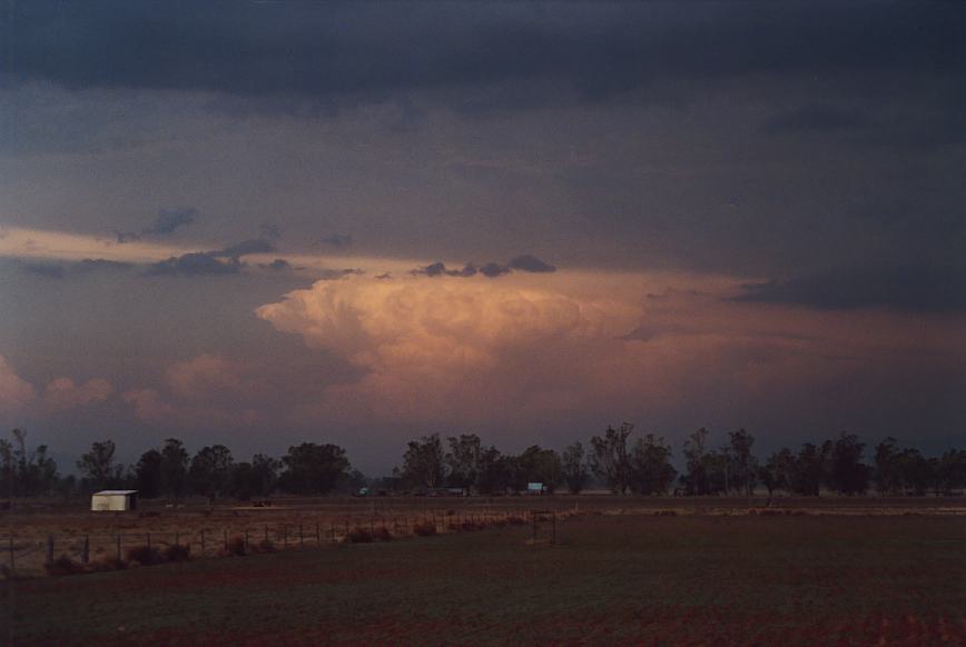 favourites jimmy_deguara : Boggabri, NSW   23 December 2002