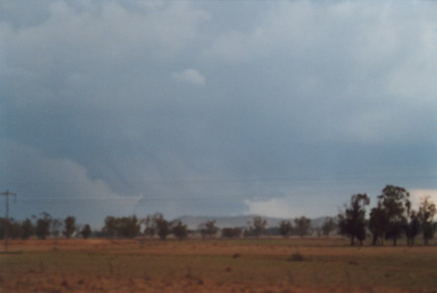 wallcloud thunderstorm_wall_cloud : N of Boggabri, NSW   23 December 2002