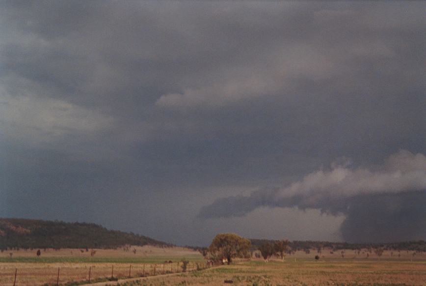 cumulonimbus supercell_thunderstorm : N of Boggabri, NSW   23 December 2002