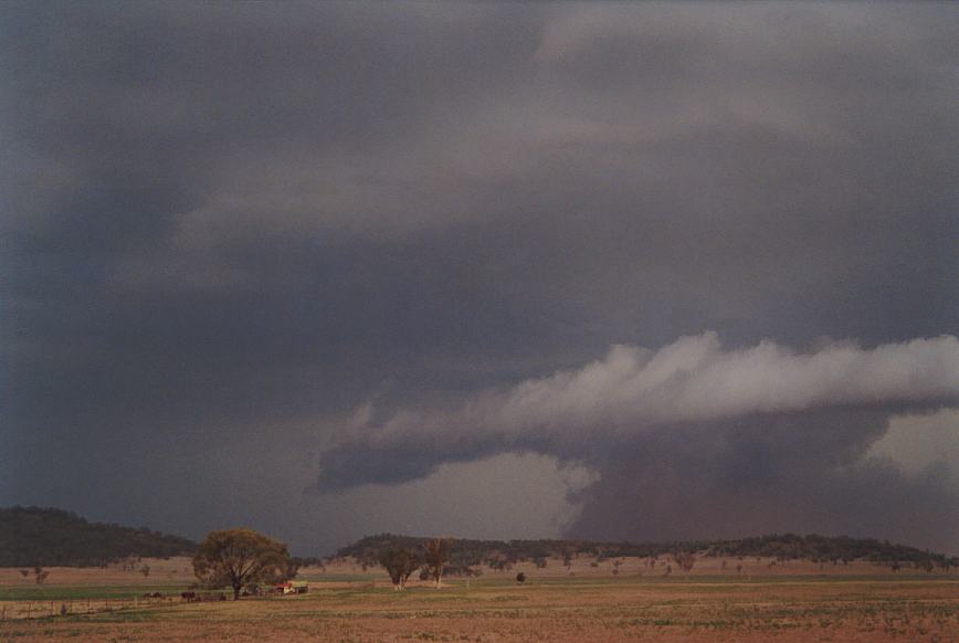 microburst micro_burst : N of Boggabri, NSW   23 December 2002