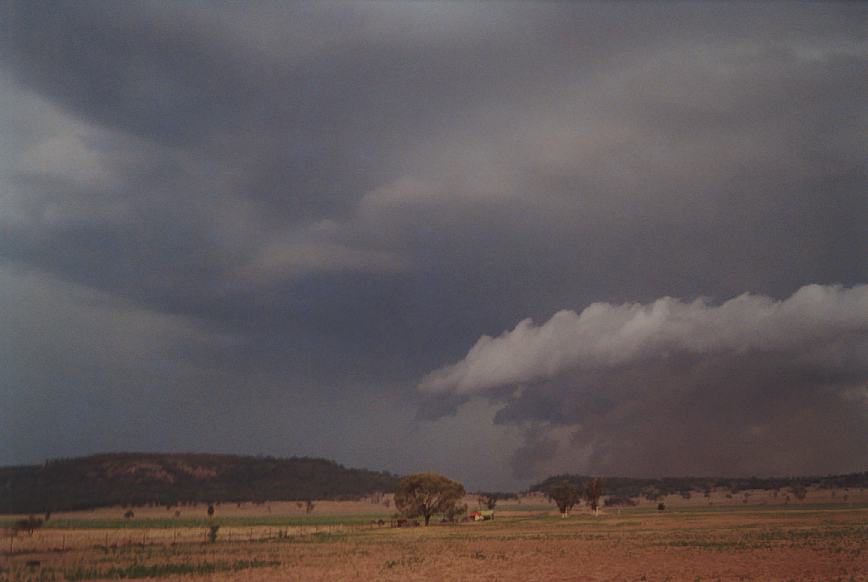 wallcloud thunderstorm_wall_cloud : N of Boggabri, NSW   23 December 2002