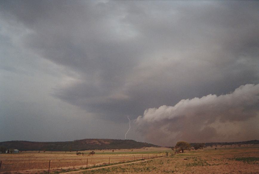 cumulonimbus thunderstorm_base : N of Boggabri, NSW   23 December 2002